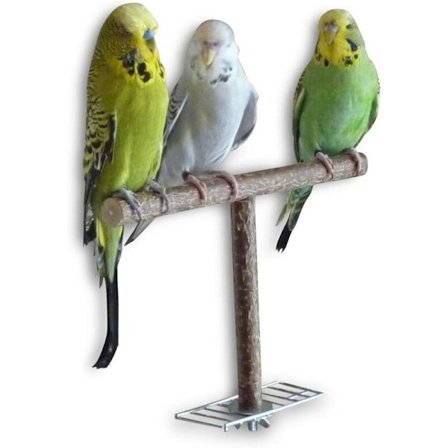 Trä Fledgling Aid Handgjord Fågelbur Tillbehör