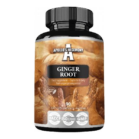 Ingefærekstrakt 500mg 90 kapsler - Støtte for Fordøyelse og Immunforsvar (Ginger Root)