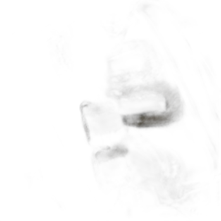 Svarta inuikii sneakers