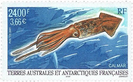 Fransk Antarktis - Blæksprutte - Postfrisk frimærke