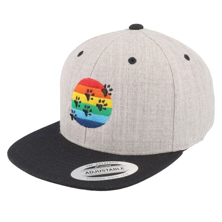 Kiddo Cap - Cinza snapback Boné - Kids Sunset Paw Heather Grey Snapback @ Hatstore