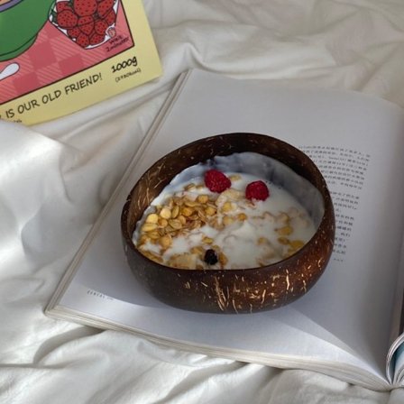 Naturlig kokosskål Kokosskålskål risskål - spot försäljning