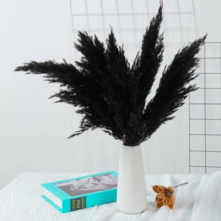 10 st Vass Torkad Blomma Naturlig Vit Pampas Gräs Bröllopsfest Dekoration Fluffiga Phragmites Konstgjorda Blommor Höst Heminredning black 15PCS 35-