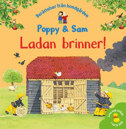 Ladan brinner! - Bok av Heather Amery & Stephen Cartwright - Inbunden
