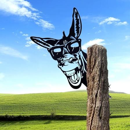 Puutarhan koristeaita ulkokoriste aasi talo eläin