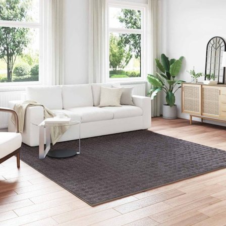 Områdesmattor Fyrkantig Antracit 240 x 240 cm