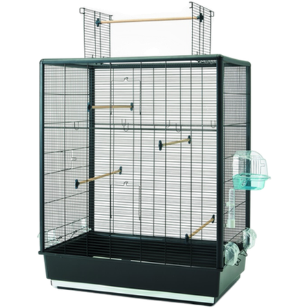 Savic - Primo 60 Åpen Empire Svart 80x50x95cm - Fugl - Bur & transport - Fuglebur - ZOO.no