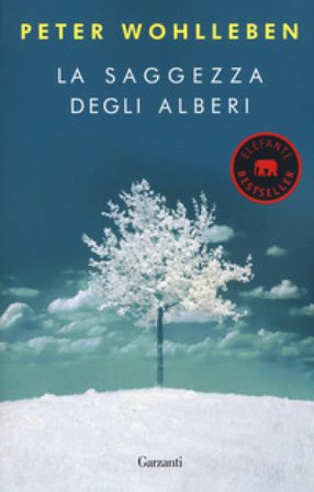 La saggezza degli alberi Peter Wohlleben