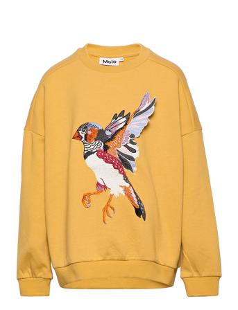 Mandy Sweatshirt Trøje Gul Molo