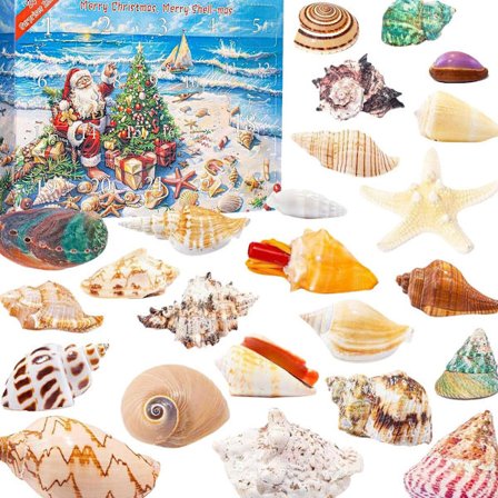 Joulukalenteri 2025 yllätysmeren simpukankuorilla ja merieläinhahmoleluilla - Joulun odotus -kalenterilaatikko lapsille ja aikuisille