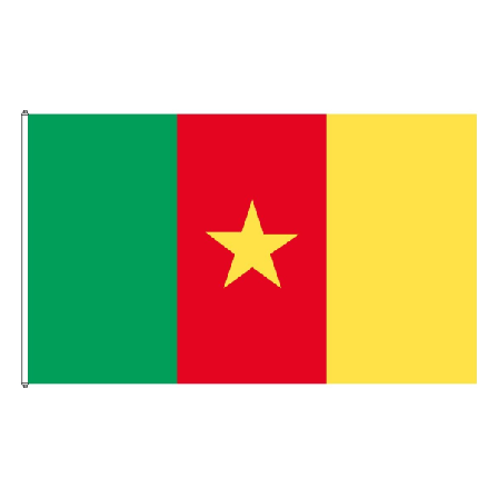 Kamerun flagg Green Cameroon