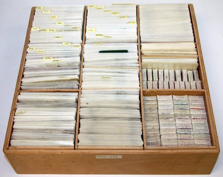 Tyskland og områder - Dubletsamling i 1 stor træ-kartotekskasse - Stemplet