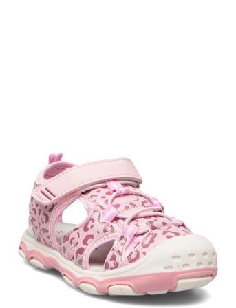 Hamar Pink Gulliver