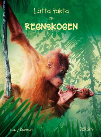 Lätta fakta om regnskogen - Bok av Lucy Bowman - Inbunden
