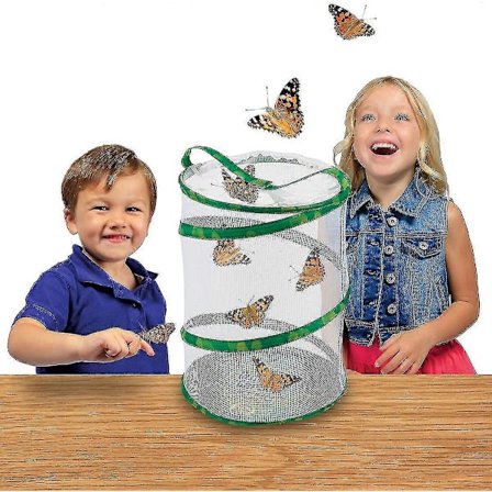 Habitat for sommerfugler og larver, livsvitenskap og utdanning - YKY416