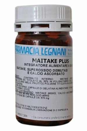 Maitake Plus 60 Capsule