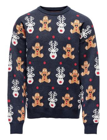 Kobrudolf L/S Pullover Knt Pullover Striktrøje Navy Kids Only