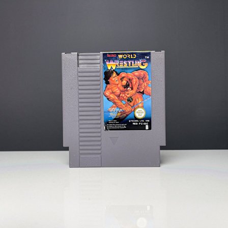 Tecmo World Wrestling