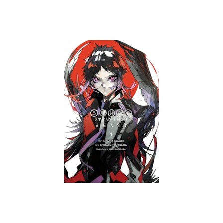 Bungo Stray Dogs: Beast, Vol. 1 (häftad, eng)