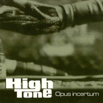 Opus incertum HIGH TONE