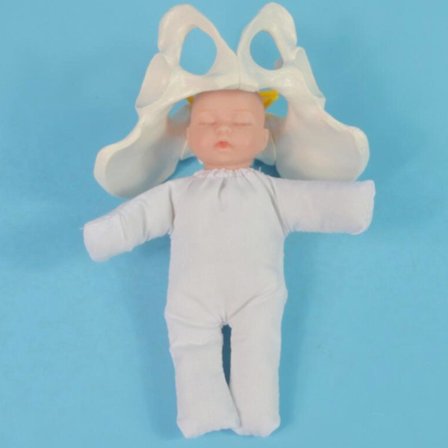 Menneskelig Kvindelig Bækken Model Fødsel Model Anatomisk Model, Mini Kvindelig Bækken Model