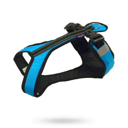 Zero DC - Zero DC Shorter Turkos & Svart - Hundsele