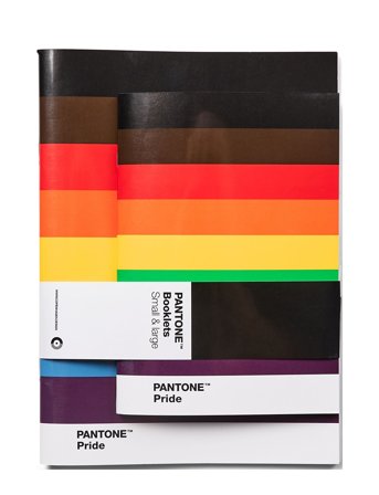 PANTONE | Pantone Booklets Set Of 2 Dotted | ONE SIZE