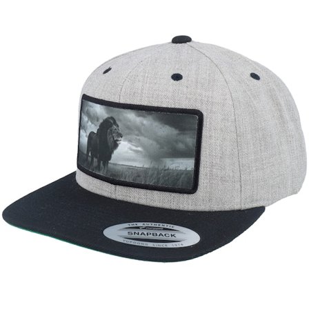 Calza Pennello - Grå snapback Caps - King Of Lion Big Patch Heather Grey/Black Snapback @ Hatstore