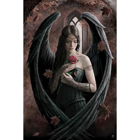 Anne Stokes - Angel Rose
