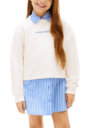 Tommy Hilfiger Glitter Sweatshirt Hoodies & sweatshirts Dam Vit 152