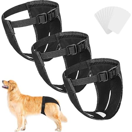 Mennestrationsbukser til Hunde 3-pak (XL), Fysiologiske Perioder