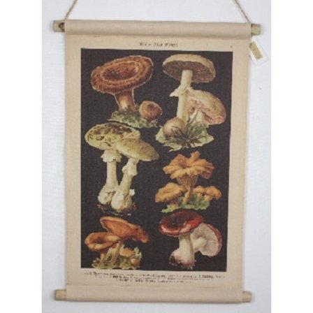 020 canvas tavla Svamp