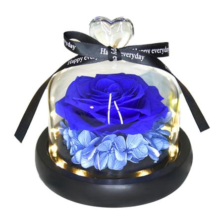 Indeni for glasset visner blomster aldrig, en feriegave