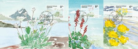 Grønland - Spiselige planter II - Maxikort