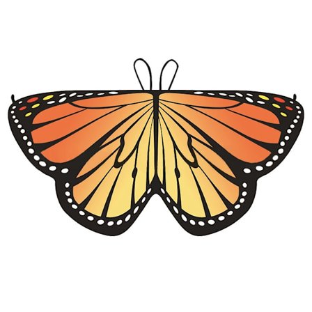 Butterfly Wings Butterfly Wings Cape 6 6