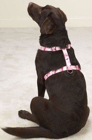 Guardian Gear - Camo Sele Rosa