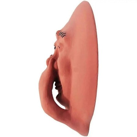 Morsom Baderom Humoristisk Stinkende Ansikt Veggdekor Resin Toalett Veggkunst Statue for Baderom Soverom 1 stk