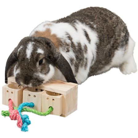 Trixie - Snackkube i tre, brun 16 cm - Smådyr - Leketøy og aktivering - Aktiveringsleker og fôrballer - ZOO.no