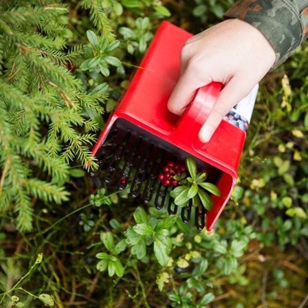 Marjukka Bärplockare - Robust och perfekt för alla typer av bär