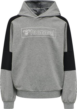 Hummel Kids' Hmlboxline Hoodie Children long-sleeved sweaters Grey 152