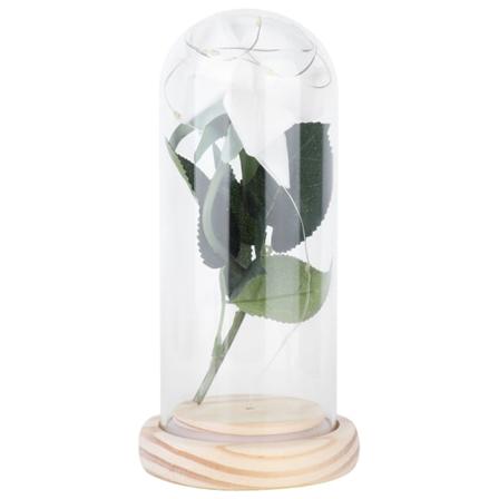 Kunstig Roseblomst Konservert Rosepynt med Glassdeksel og Lys for Valentinsdag Jul Jubileum Bursdag