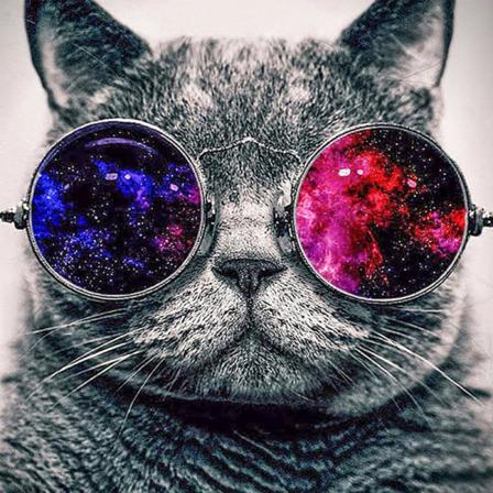 Full 5d Diy Diamond Painting Cross Stitch Cool Cat Broderi Mosai Som På Bilden 1 60x60cm