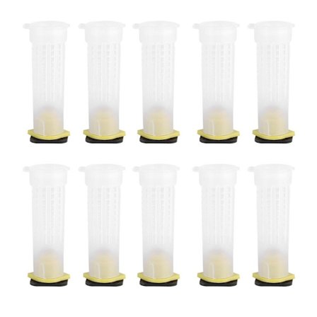 10 st Biodling Queen Cages Biodlarutrustning Skydd