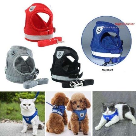 Katte- og hundesele, der er enkel og justerbar