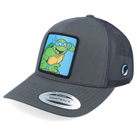 TMNT - Grå trucker Caps - Leonardo Box Grey/Black A-Frame Trucker @ Hatstore