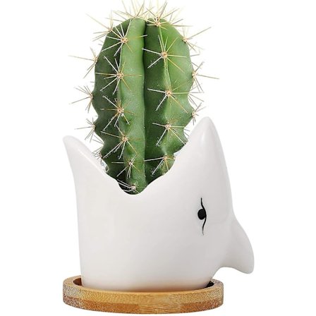 Keramiikkakasvipotteja, eläinmehikasvipotteja, kaktusmehikasvipotti