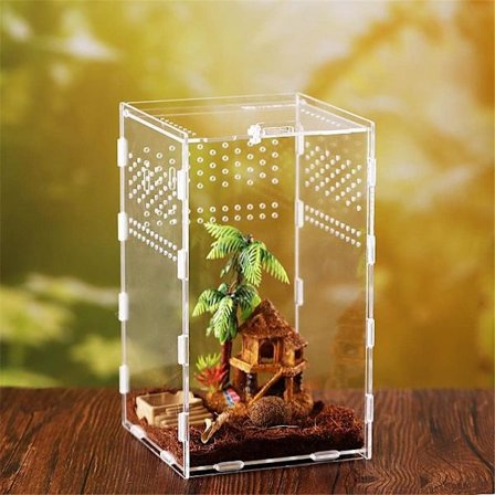 Terrarium reptil terrarium insekt terrarium øgle slange edderkopp
