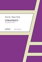 Straffrätt – en kortfattad översikt