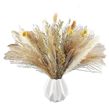 Pampasgress R 65 stk 17,5 tommer tørket pampasplanter -fluffy tørket pampas