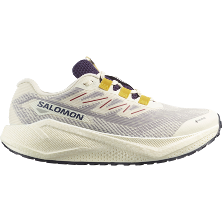 Salomon - Chaussures de gravel running pour homme Aero Blaze 3 Grvl Gtx - Vanilla Ice / Astral Aura - 41⅓